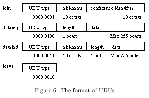 [image of the format of the UDU's]